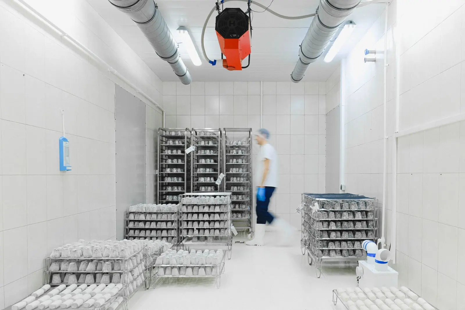 Clean commercial cold storage room with stainless-steel refrigerated shelving